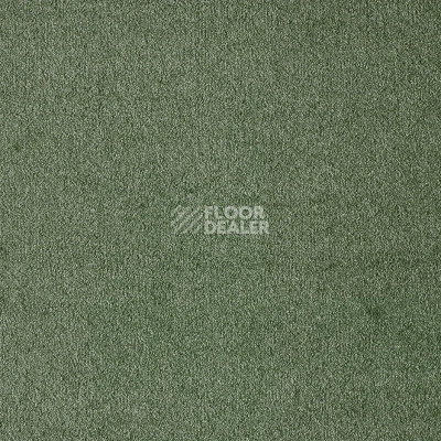 Ковролин AW Seduction 26 фото 1 | FLOORDEALER